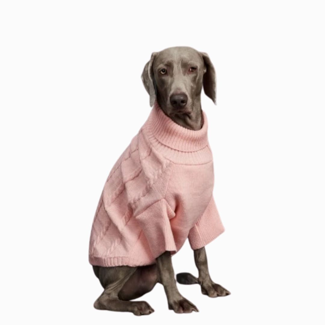 Jersey Cozy