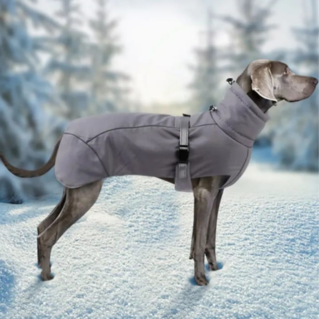 Abrigo Impermeable