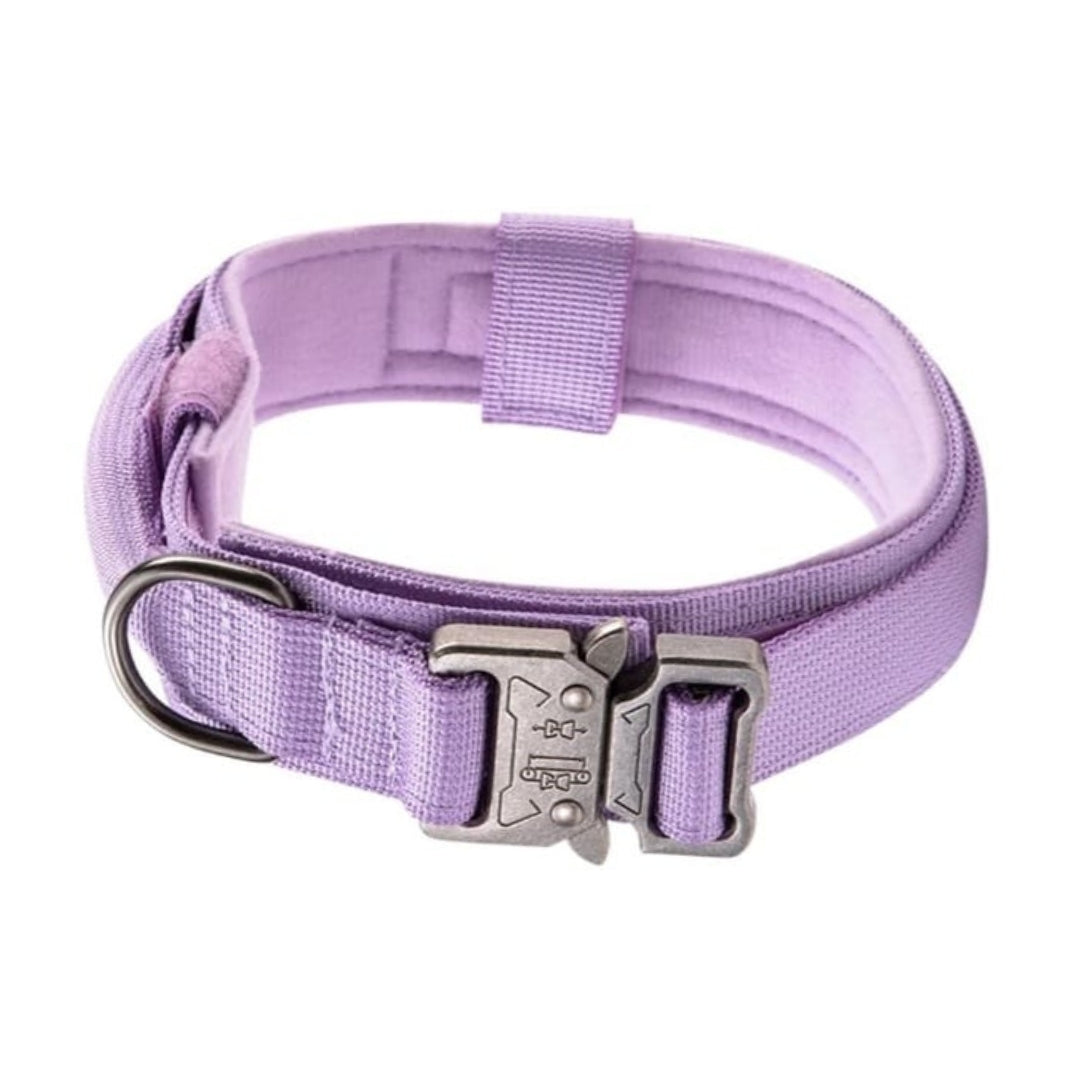 Collar TactiPaw