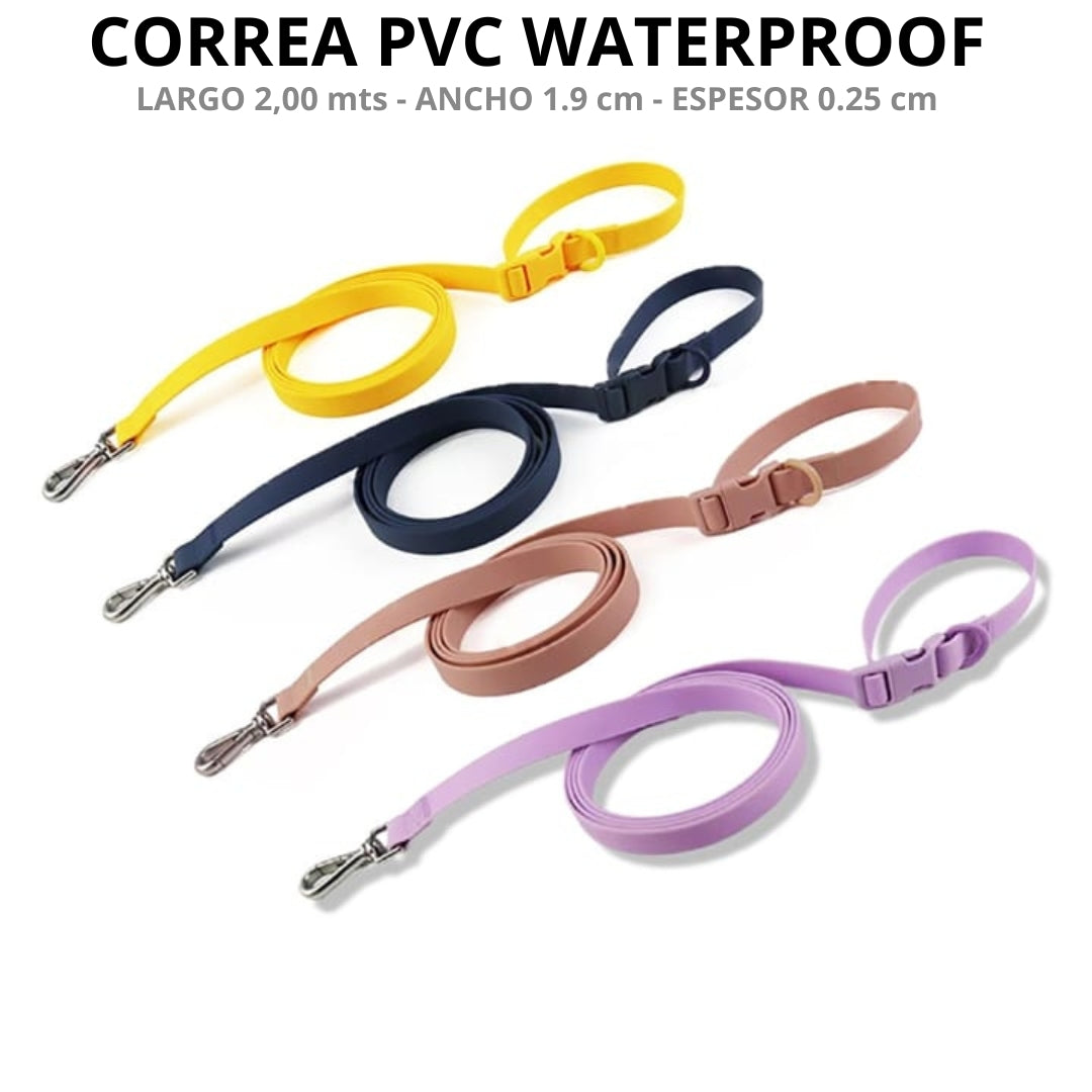 Collar + Correa Aqua