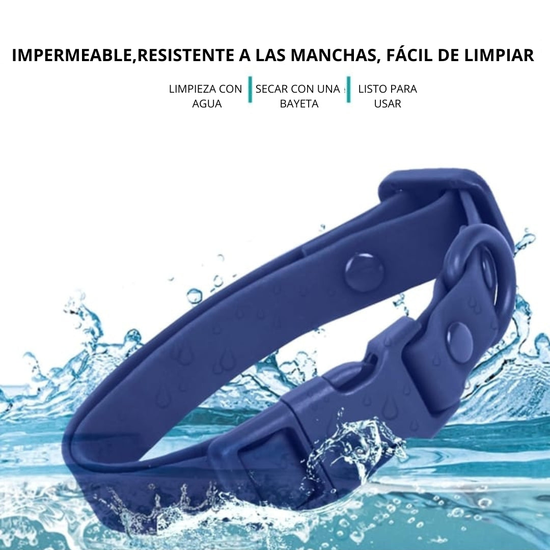 Collar + Correa Aqua