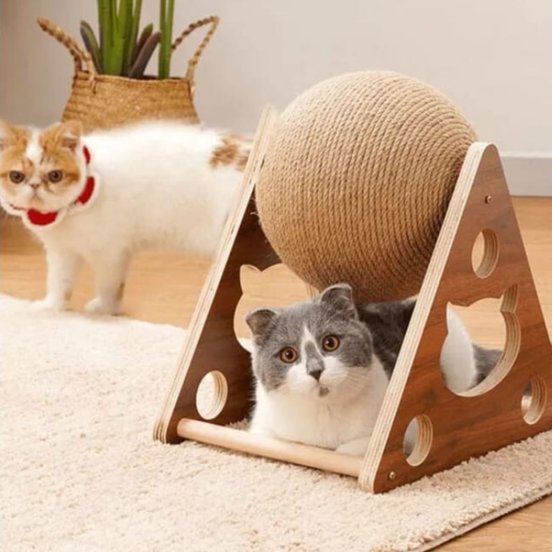 Rasca-Ball Felino