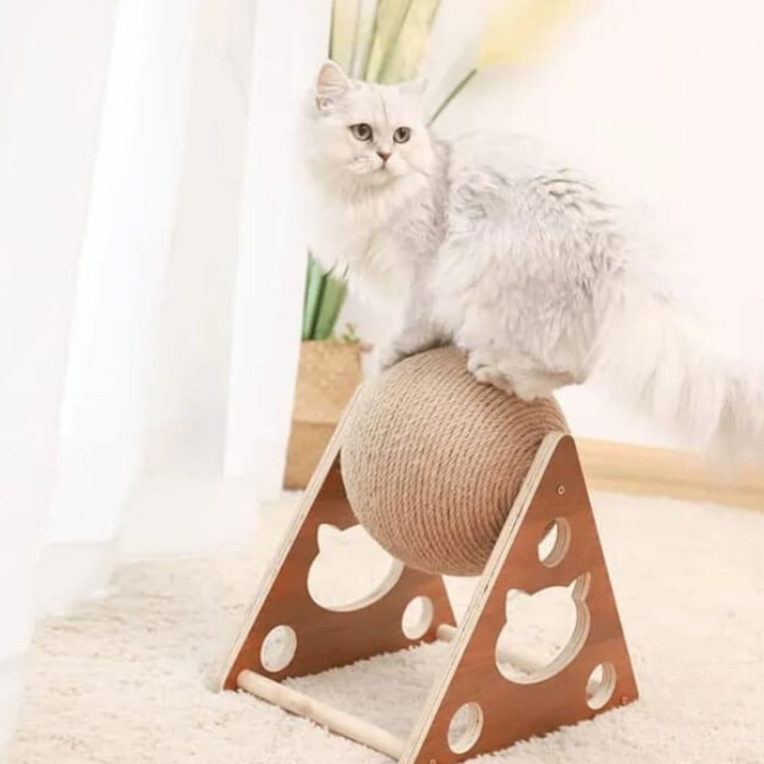 Rasca-Ball Felino