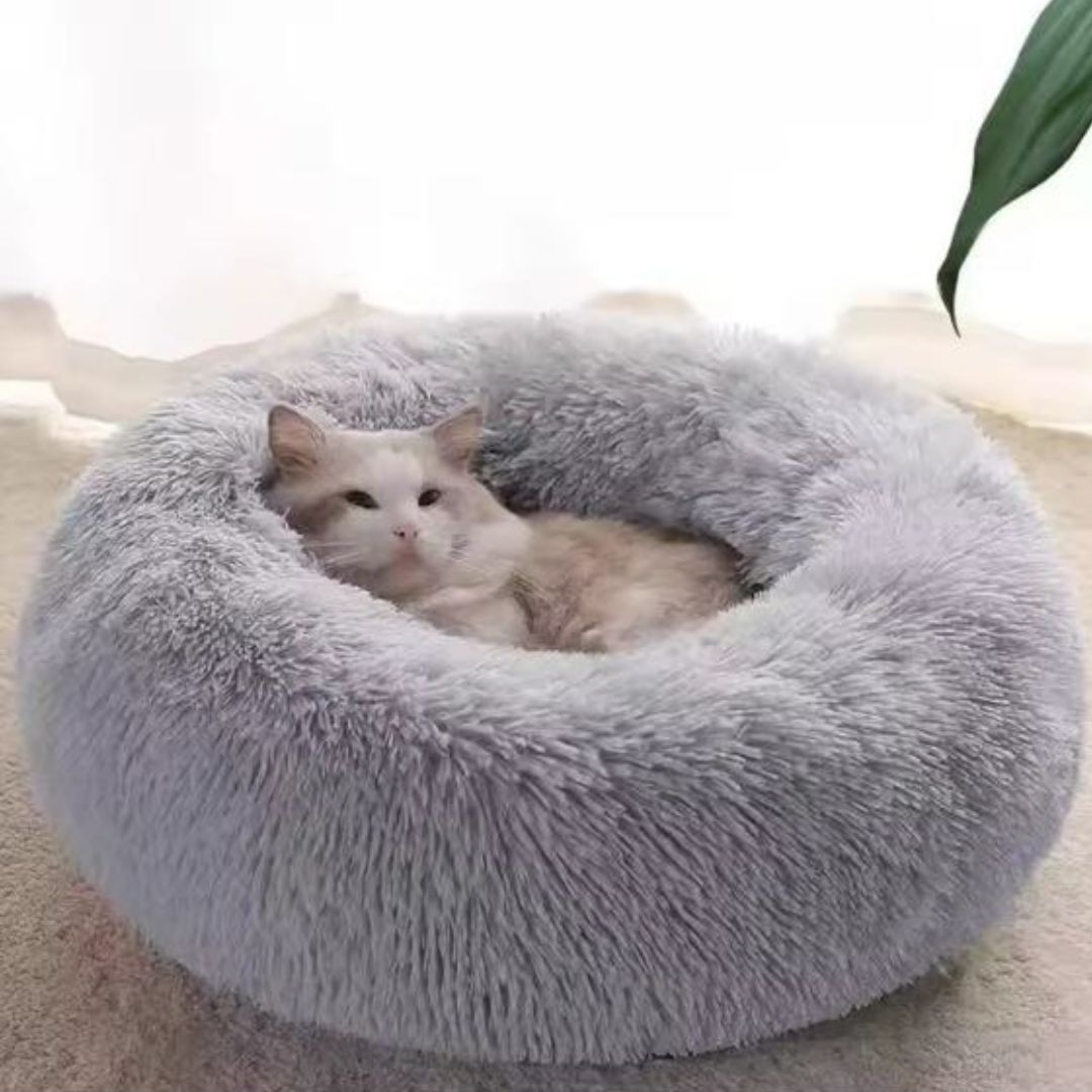 Cama Felpi-Nut
