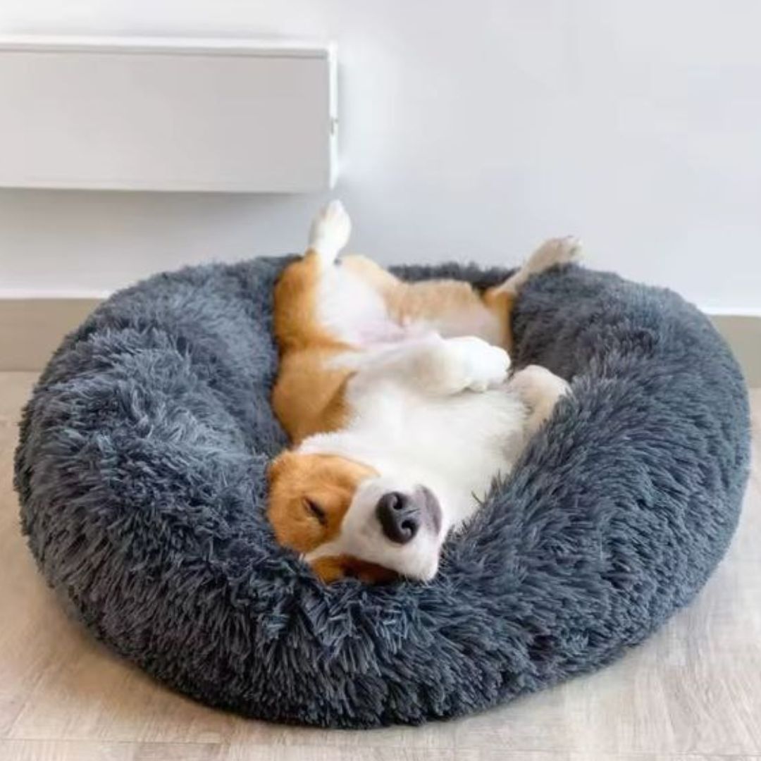 Cama Felpi-Nut