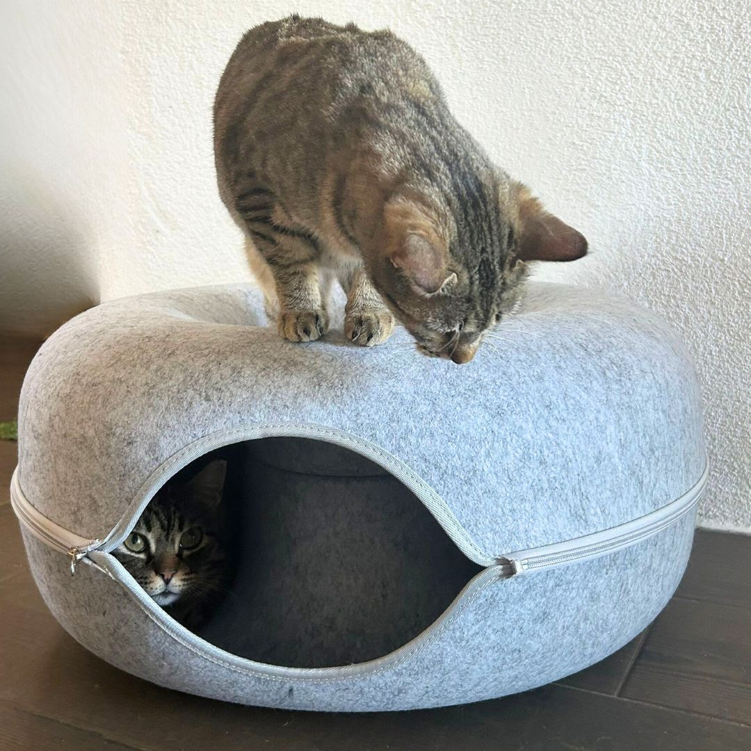 Cama Refugio Cat-Nut