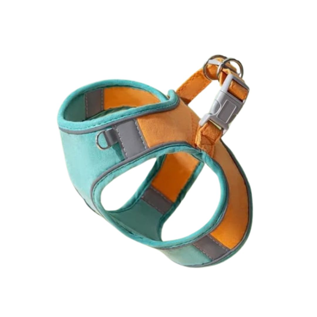 Arnés + Correa CatPaw