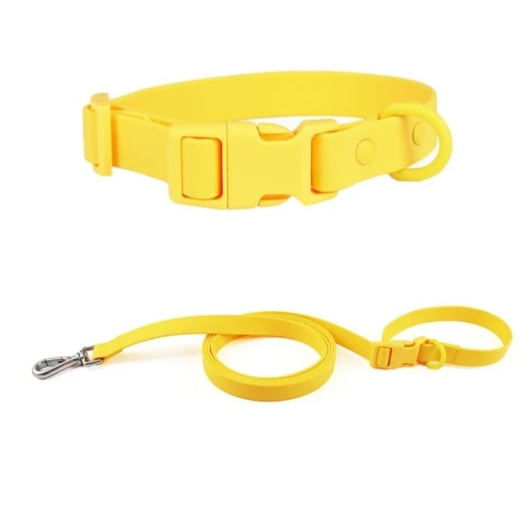 Collar + Correa Aqua