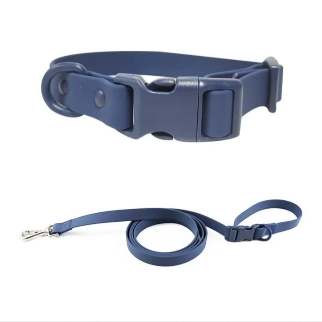 Collar + Correa Aqua