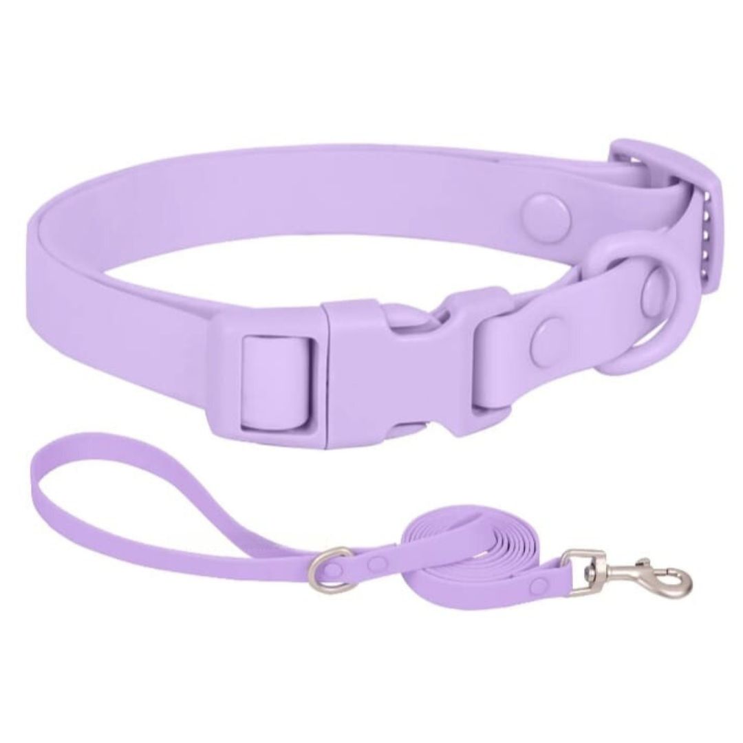 Collar + Correa Aqua