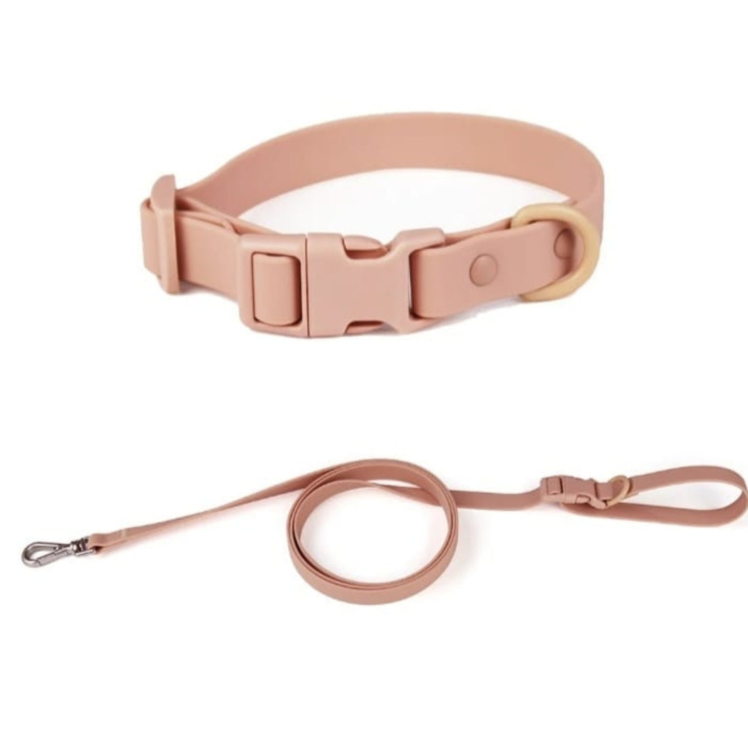 Collar + Correa Aqua
