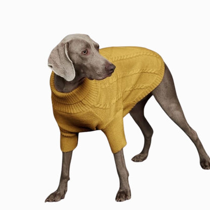 Jersey Cozy