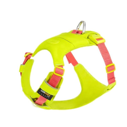 Arnés Twister Trail - Para Perros aventureros