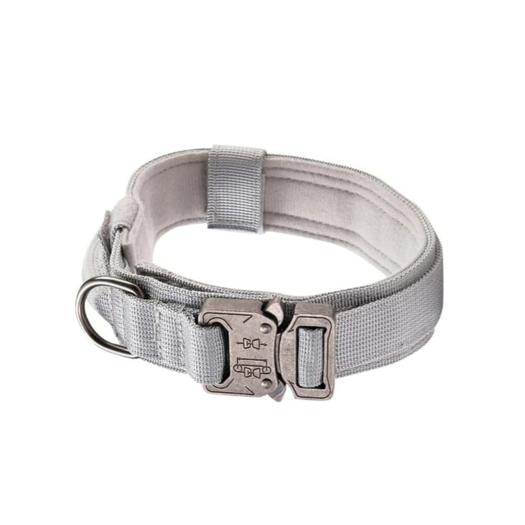 Collar TactiPaw