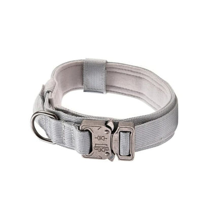 Collar TactiPaw