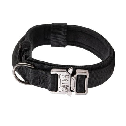 Collar TactiPaw