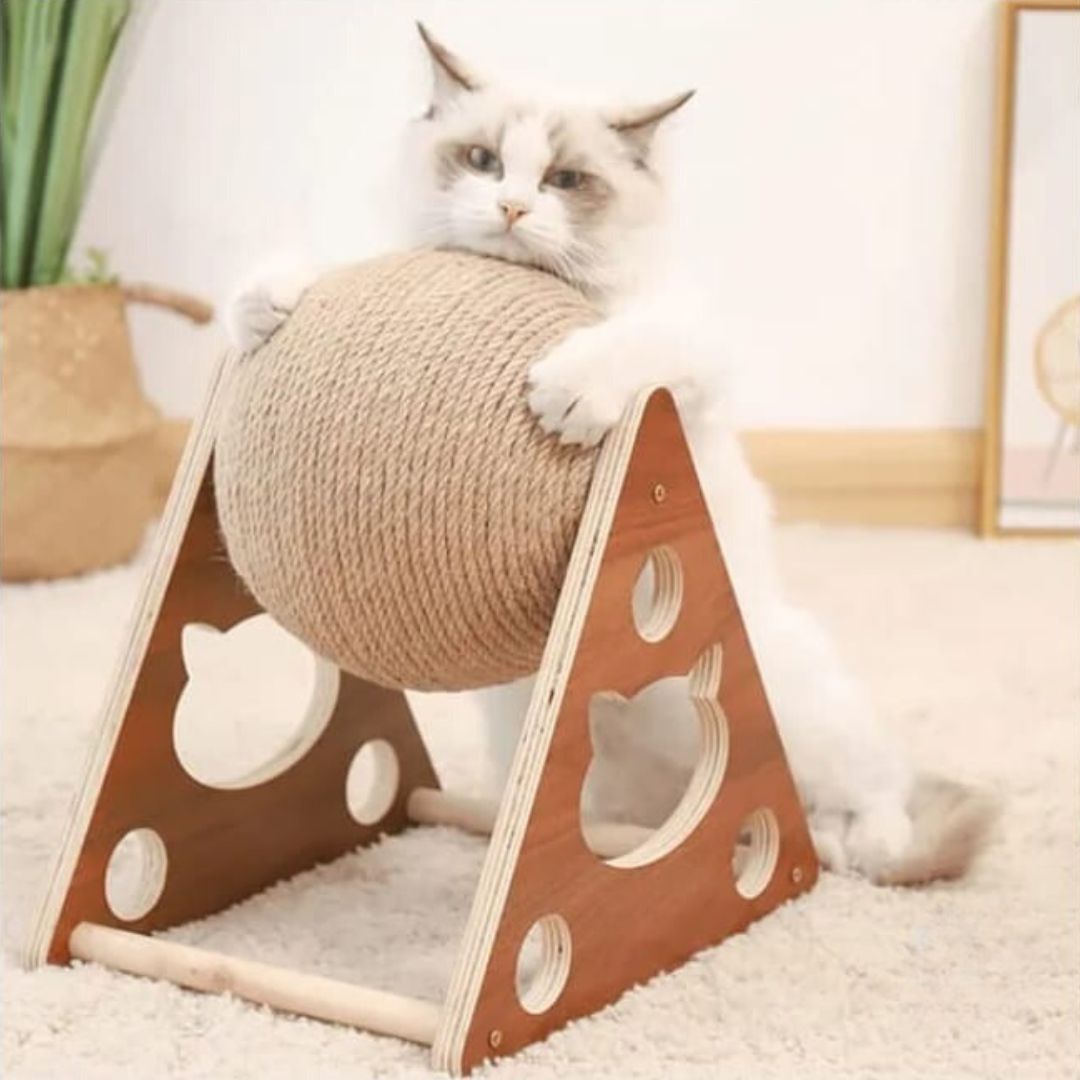 Rasca-Ball Felino