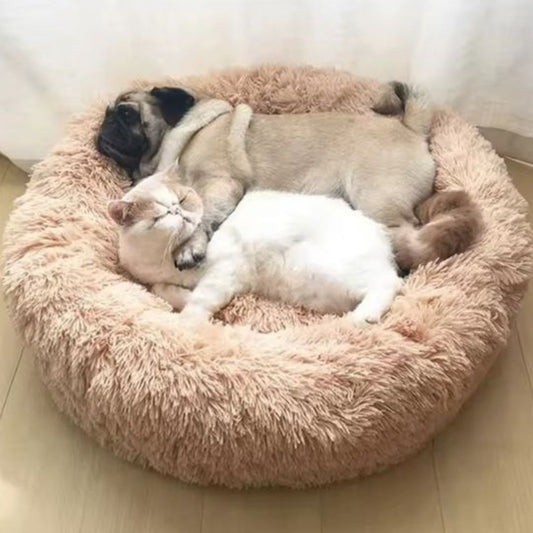 Cama Felpi-Nut