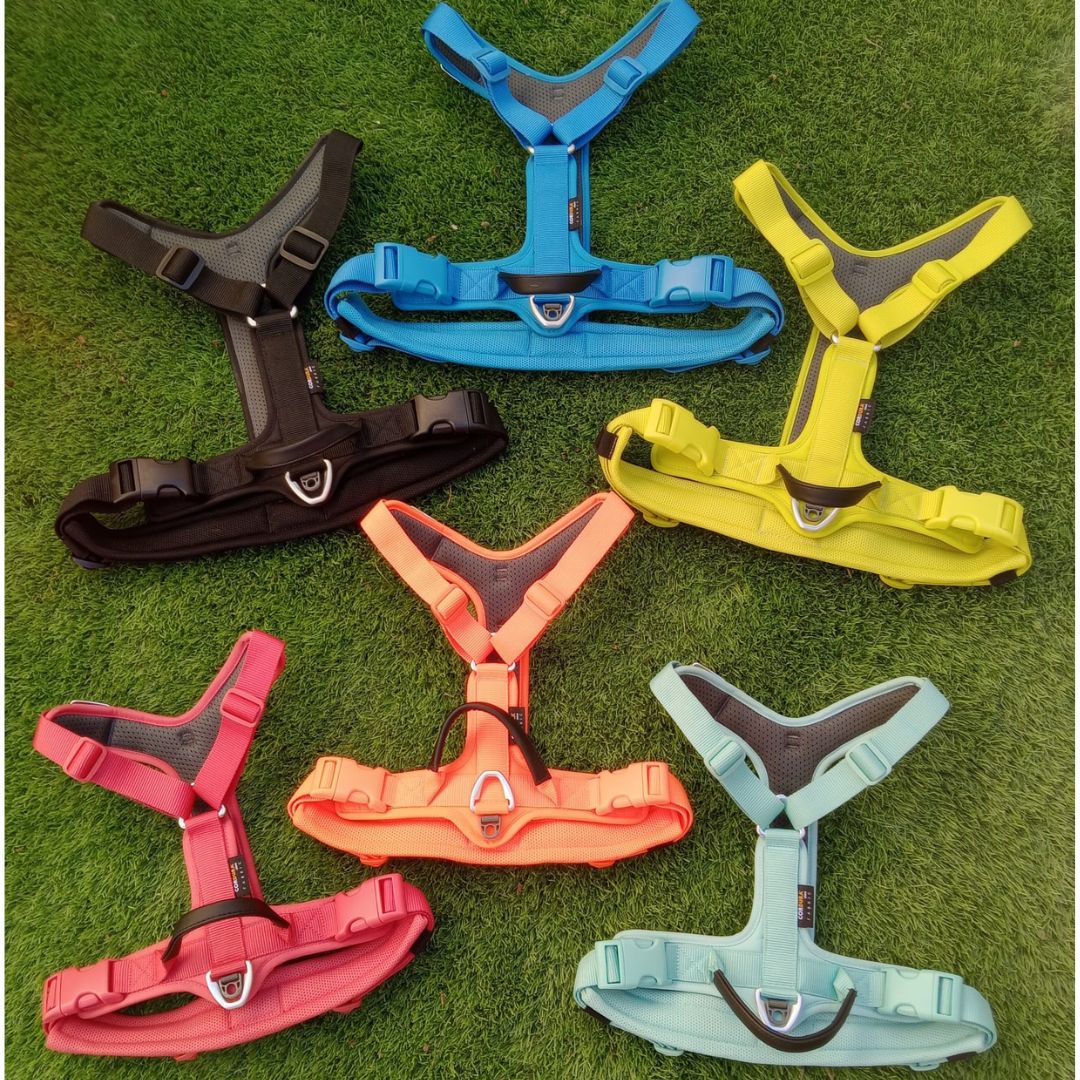 Arnés Twister - Estilo y protección sin límites