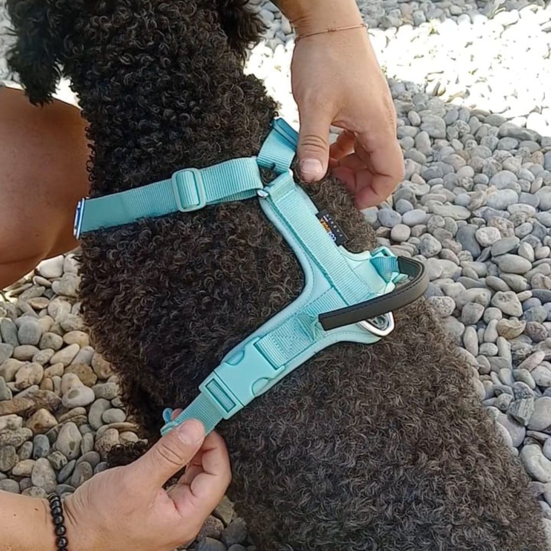Arnés Twister - Estilo y protección sin límites