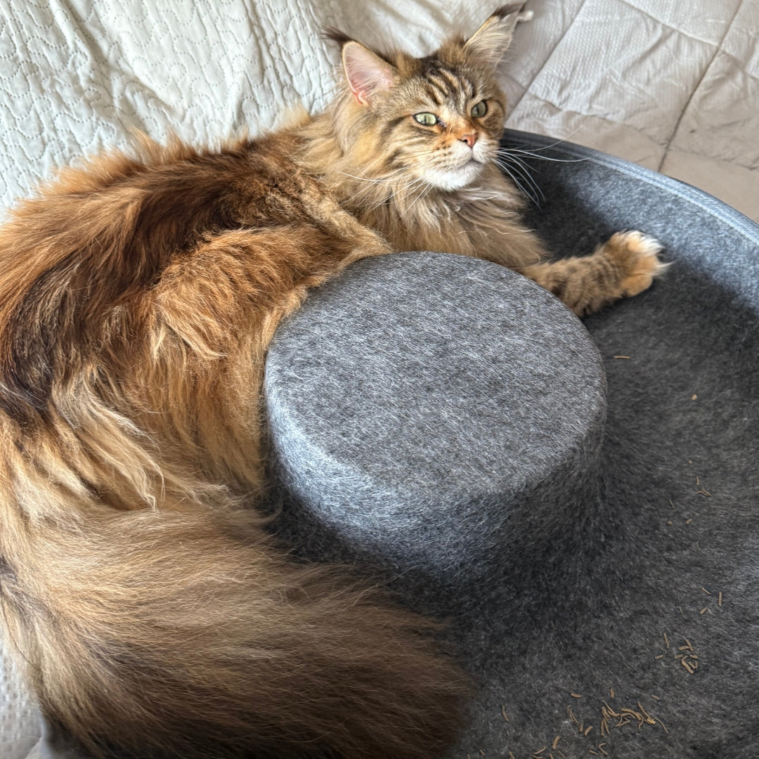 Cama Refugio Cat-Nut