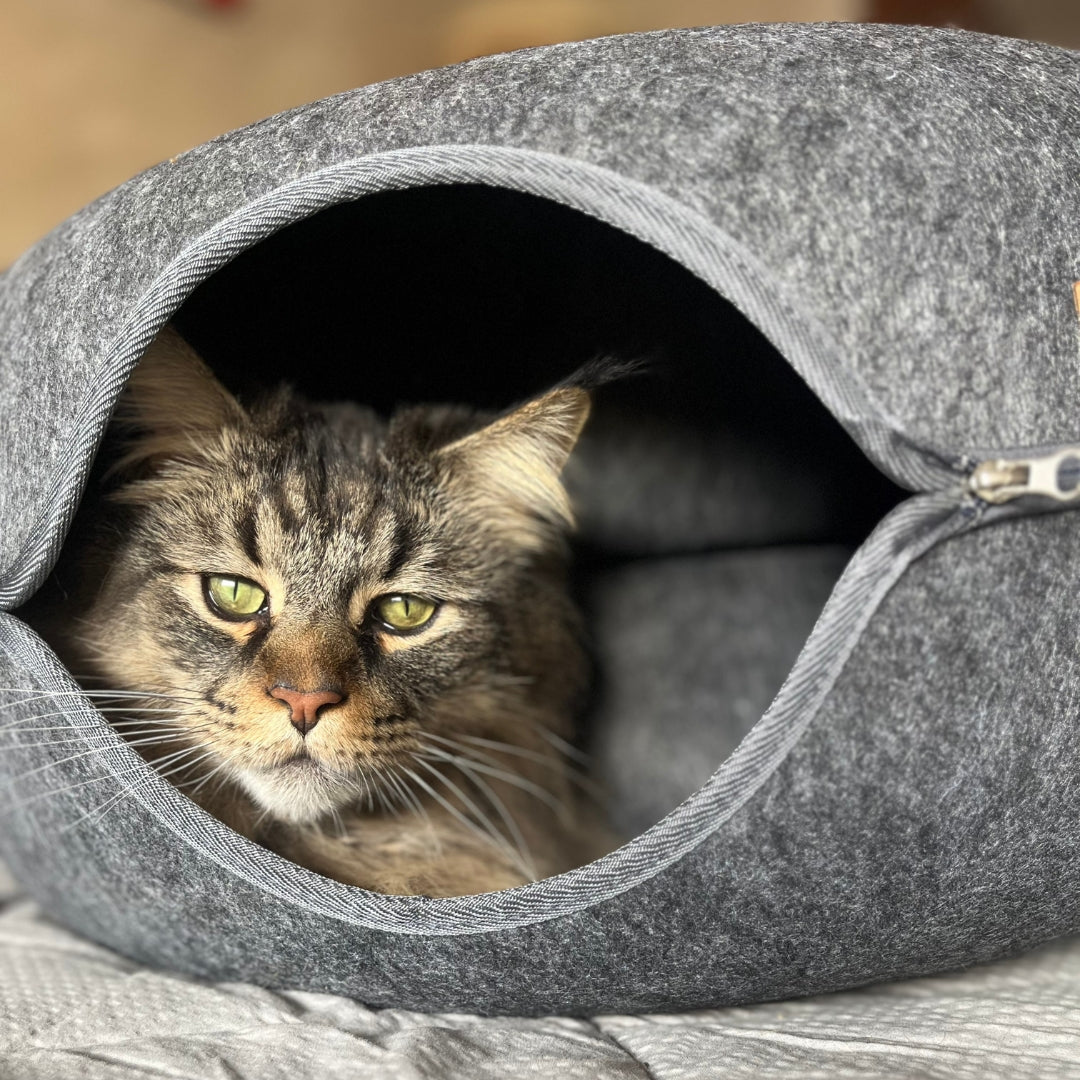 Cama Refugio Cat-Nut