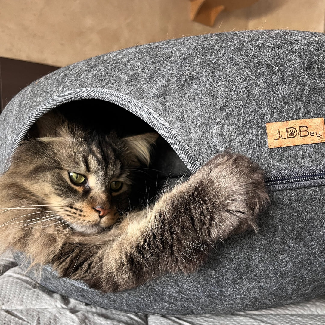 Cama Refugio Cat-Nut