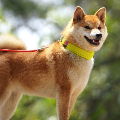 Collar Twister