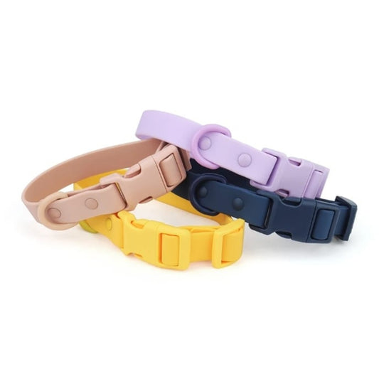 Collar + Correa Aqua