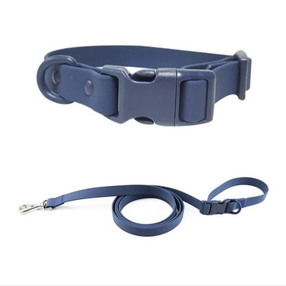 Collar + Correa Aqua