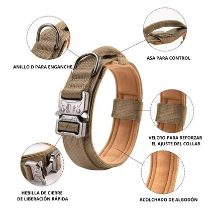 Collar TactiPaw